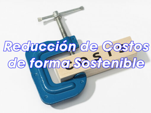 Reducción de Costos de forma Sostenible