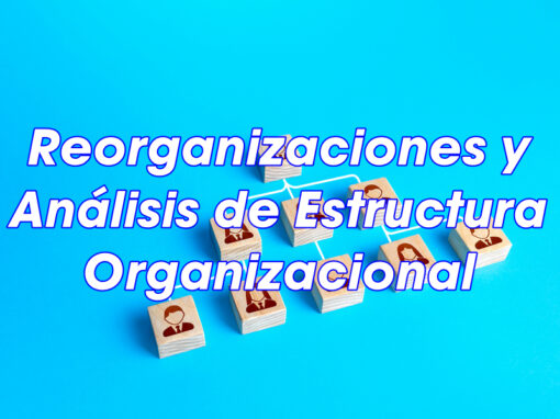 Reorganizaciones y Diseño Organizacional