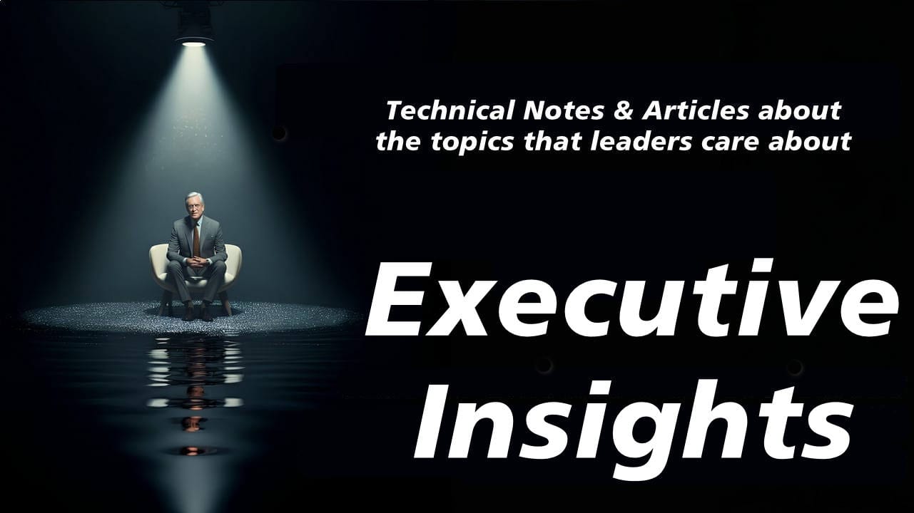 Perspectivas del CEO: Serie de artículos y notas técnicas para líderes empresariales - por EXYGE Consulting